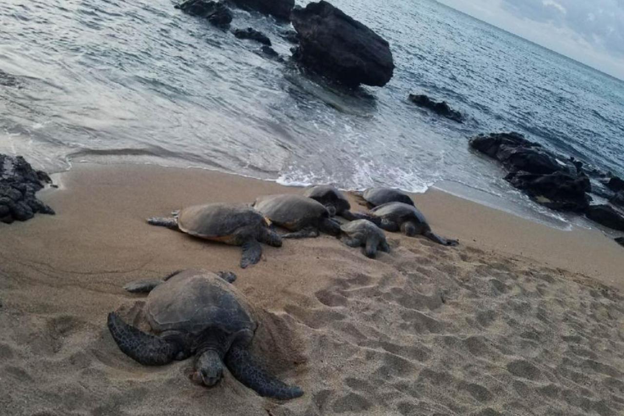 Mahina Surf I Villa Napili-Honokowai Ngoại thất bức ảnh